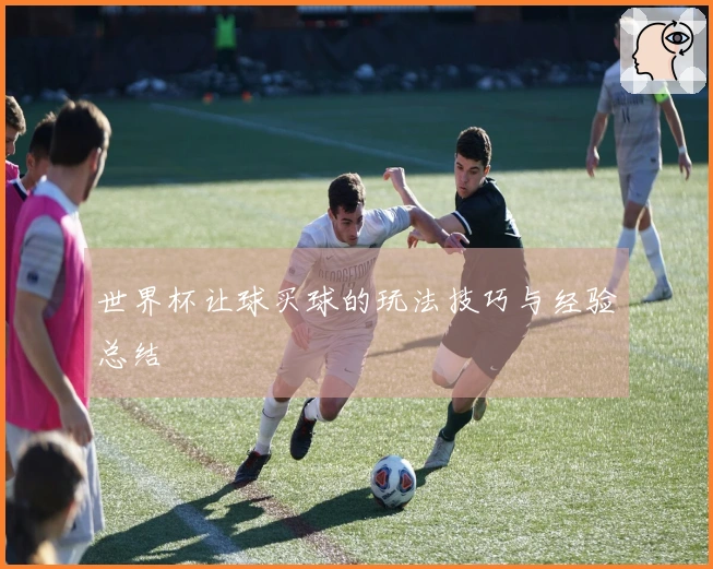 世界杯让球买球的玩法技巧与经验总结