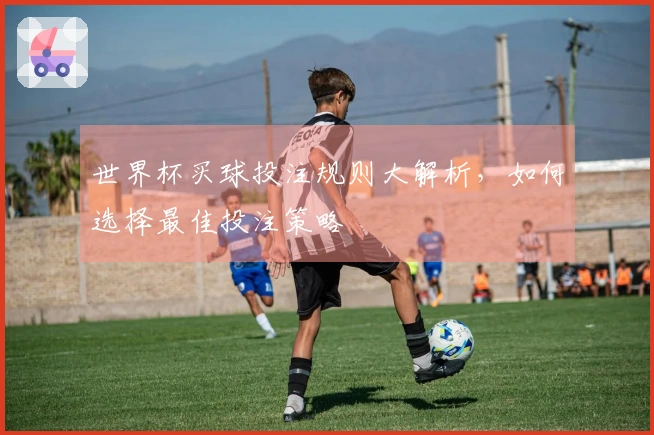 世界杯买球投注规则大解析，如何选择最佳投注策略