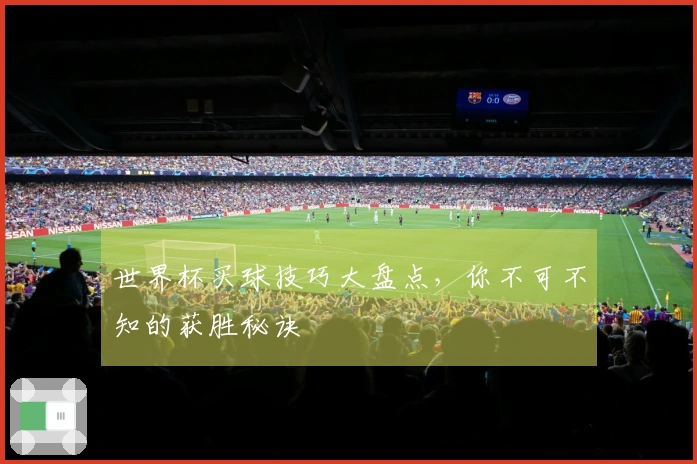世界杯买球技巧大盘点，你不可不知的获胜秘诀