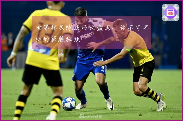 世界杯买球技巧大盘点，你不可不知的获胜秘诀
